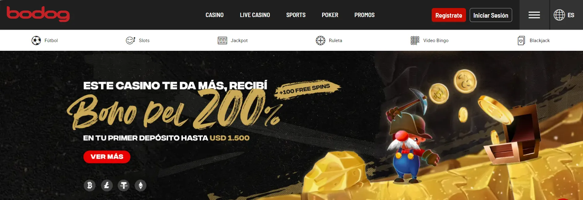 Bodog casino
